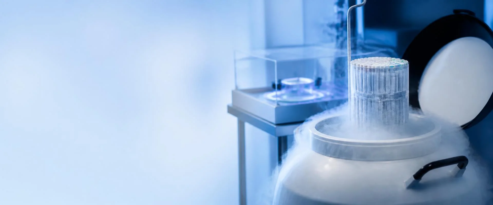 Frozen embryo transfer procedure at Wonder IVF Mumbai fertility centre