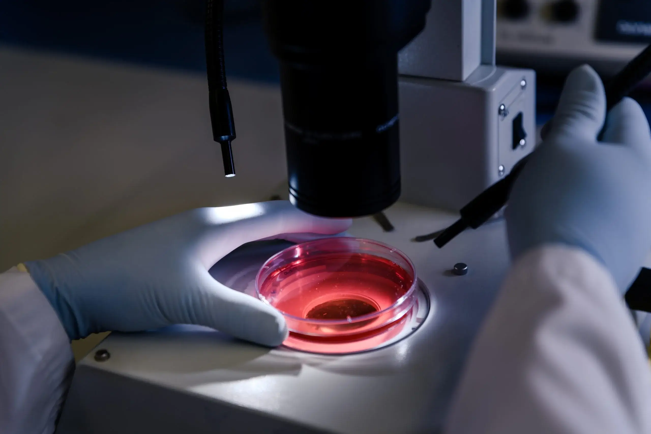 Laser-assisted hatching procedure at Wonder IVF Mumbai for improved IVF outcomes