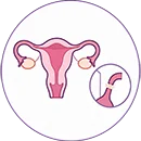 Uterine condition treatment and fertility care in Maharashtra